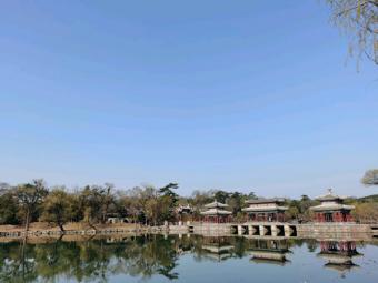 新监管：市场监管总局发布2025年全国食品安全抽检计划 守护民众餐桌安全