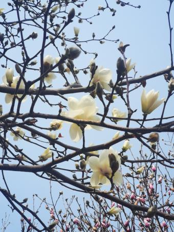 新公益：2025年“节水中国行”主题宣传活动在北京举办 共筑水安全保障新篇章