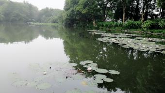 新突破：我国自主研制最大直径盾构机“沧渊号”成功下线