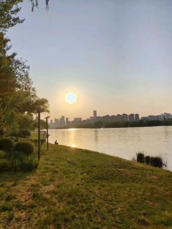 新突破：我国油气管道整合成效显著，天然气输送量已突破1万亿立方米