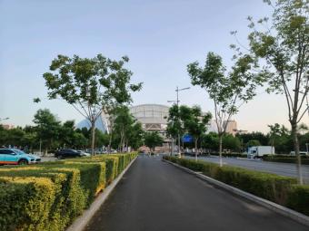 新报告：《中国资产管理市场2024—2025》报告发布