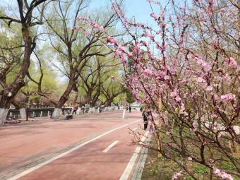 新活动：宜居沈阳·幸福安家 2025沈阳夏季购房活动”在辽宁工业展览馆盛大启幕