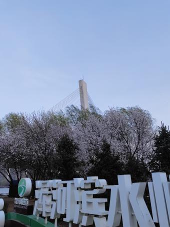 “中国物流标准大讲堂”第36期聚焦两大新标宣贯 2000余人在线共探物流标准化实践