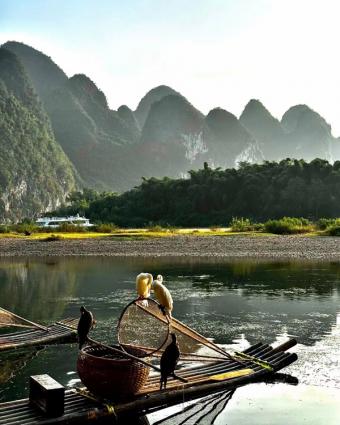 新博览：大阪世博会中国馆“浙江周”活动盛大启幕 以“诗画江南”绘就绿色发展新画卷
