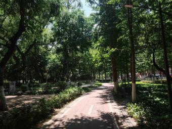 新指导：《关于推进国家碳计量中心建设的指导意见》印发 助力“双碳”目标实现
