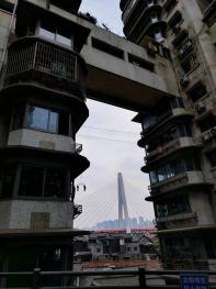 数实融合新引擎 智启未来新动能 2025年中国国际信息通信展览会在京盛大开幕