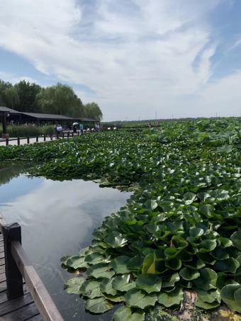 新突破:三峡水库2025年度蓄水圆满收官,175米水位筑牢综合效益根基