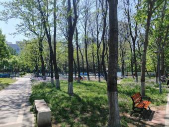 新丰收：全国秋粮收获过九成，冬小麦播种有序推进