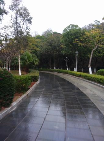 新研究：以互联网公益高质量发展服务网络强国建设”调研成果正式发布