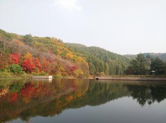 新盛会：中国农业工程学会第十届学术年会在华南农业大学隆重开幕 AI赋能农业新质生产力