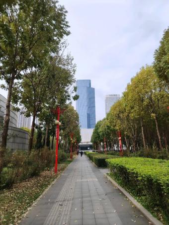 新标准：1至11月市场监管总局新批准发布85项国家标准物质，助力“双碳”与精密制造