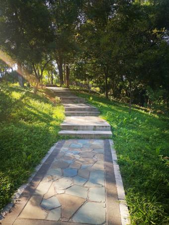 新报告：《中国生态保护红线蓝皮书（2025）》发布 生态安全屏障持续筑牢