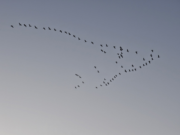 2.图片作者:嵇远