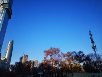 新政策：《促进服务外包高质量发展行动计划》印发，擘画行业新蓝图