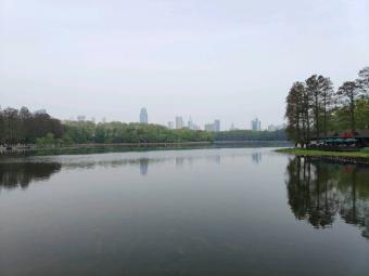 新盛会：第十二届中国商业创新大会：共绘现代流通新蓝图，激发消费升级新动能