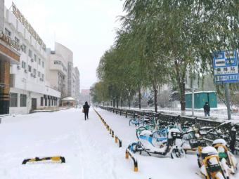 新活动：第十五届鸟巢欢乐冰雪季盛大启幕，打造冬日冰雪狂欢盛宴