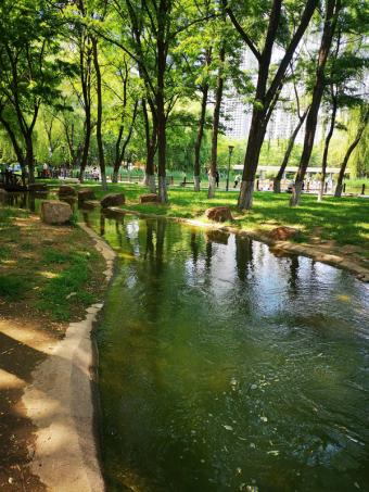 新政策：九部门联合发布绿色消费新政 七方面二十条举措助力“十五五”绿色转型