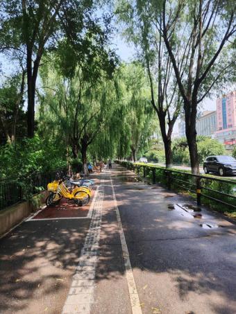 新数据：2025全国居民人均可支配收入达到43377元 收入稳步增长