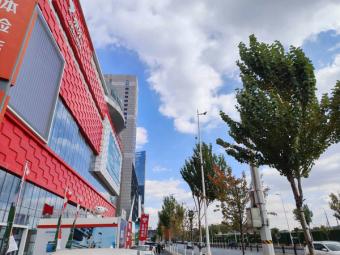 新突破：山东2025年GDP突破10万亿元 科技创新与传统产业双轮驱动