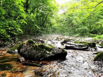 新消费：第三十二届自贡国际恐龙灯会璀璨启幕 四川启动迎春文旅促消费活动