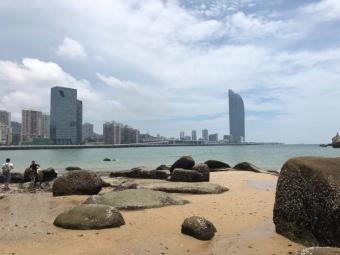 新突破：中国科研团队借78比特量子芯片首破预热化调控难题