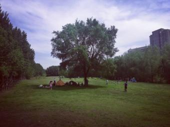 新行动：中国海关“大地女神”行动收官 全球120国携手创跨境环境治理新里程