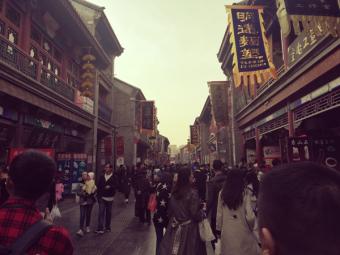 新检查：护好“国之大者” 农业农村部开展春季种子市场大检查