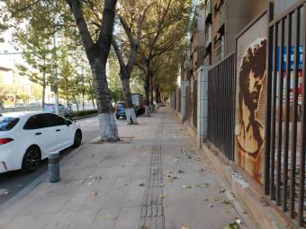 新春运：2026年春运过半全社会跨区域流动超50亿人次 铁路成中坚保障力量