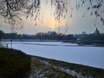 新政策：四部门联合发文 推动科技保险高质量发展，支撑科技自立自强