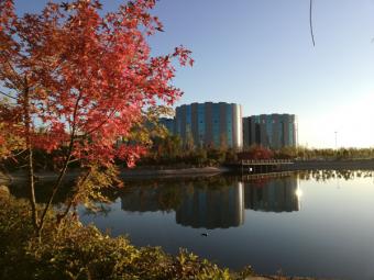 新探讨：国家科技传播中心聚焦脑发育与孤独症 前沿探索照亮科学干预之路