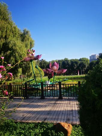 新航线：国航双城直飞布鲁塞尔新航线启航，搭建中欧空中新桥梁