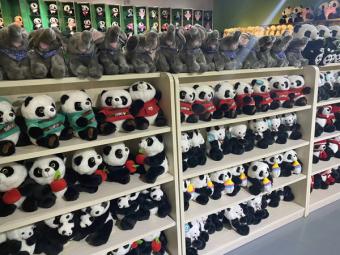 新突破：消博会累计92个国家和地区3800多家企业参与 超1.2万个品牌