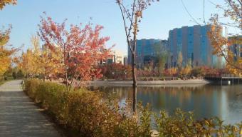 新实验：机器人辅助TTVR系统香港首例临床成功，开启医疗新篇章