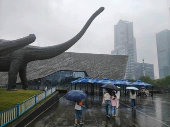 新政策：甘肃五部门联合印发《学生体质强健计划实施方案》 构建现代化体育体系