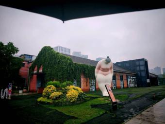 “跟着课本游版纳”主题活动在云南省西双版纳傣族园火热举行