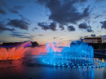 新科研：全景数字生命国际大科学计划战略研讨会在京举行