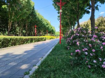 新行动：“就业公共服务进校园百日行动”加速推进，助力毕业生高质量就业