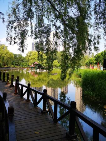新场馆：西南大学袁隆平纪念馆正式落成 一粒种子的回家路