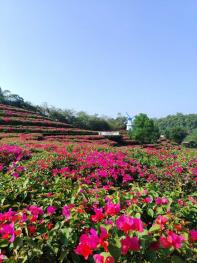 山医大学子以实践探索中医药“产学研用”协同育人新路径